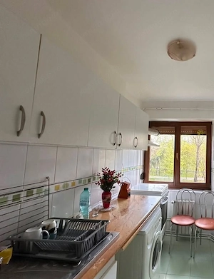 De inchiriat apartament cu 2 camere, etaj 2, Gradina Publica, 400 euro - imagine 7