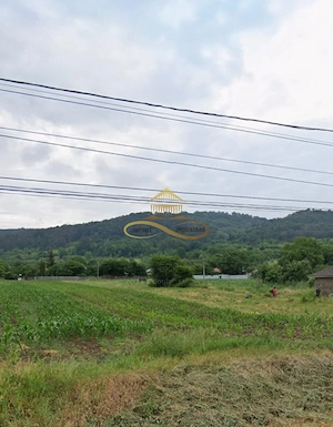 Teren intravilan de vanzare Tamasi Bacau - imagine 4