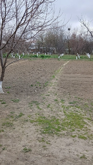 Casa de vânzare in GĂEȘTI  - imagine 7