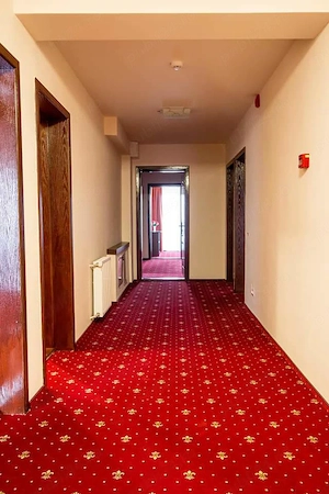 Afacere la cheie-pensiune+restaurant- in Tinutul Zimbrului  - imagine 2