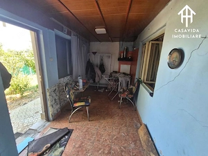 Casă cu teren de vânzare în Victor Vlad Delamarina - imagine 8