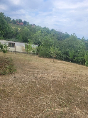 casa si teren intrarea in Breazu - imagine 4