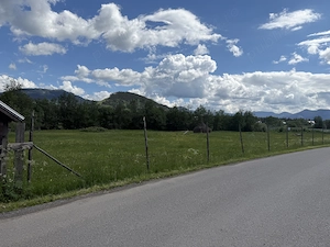 Vand Teren Intravilan Poiana Negrii jud Suceava (Bucovina) - imagine 3