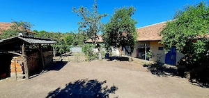 Casa cu gradina de 4000 mp in Carastelec  - imagine 6