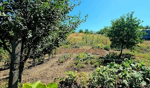 Casa cu gradina de 4000 mp in Carastelec  - imagine 8