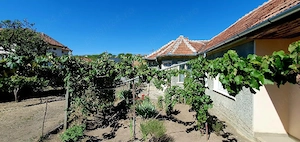 Casa cu gradina de 4000 mp in Carastelec  - imagine 3