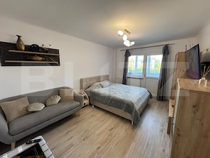 Garsonieră modernă, prima închiriere – Brazda lui Novac, Bd. Dacia