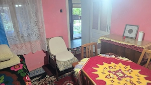 Vand casa in Deva, zona Viile Noi, suprafata totala de teren de 766 mp,  - imagine 8