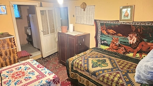 Vand casa in Deva, zona Viile Noi, suprafata totala de teren de 766 mp,  - imagine 10