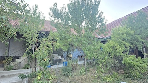 Vand casa in Deva, zona Viile Noi, suprafata totala de teren de 766 mp, 