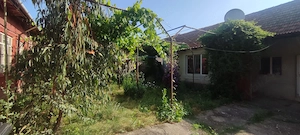 Casă mare din cărămidă (250 mp) de consolidat renovat, teren 3000 mp pe colț în Balinț - imagine 5