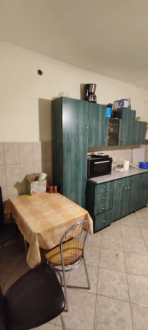 Casă mare din cărămidă (250 mp) de consolidat renovat, teren 3000 mp pe colț în Balinț - imagine 6