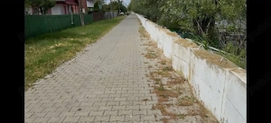 Teren de vanzare Delta Dunării - imagine 3