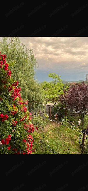 Casă tradițională de vânzare în sat Racoți, Tismana, Gorj - imagine 2