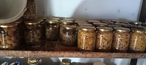 Vand produse 100% bio,fara  consevanti si alte prostii,gatite in mod traditional