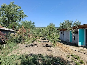 Casa cu curte si gradina - zona linistita si frumoasa - imagine 11