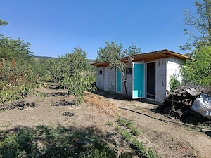 Casa cu curte si gradina - zona linistita si frumoasa - imagine 8