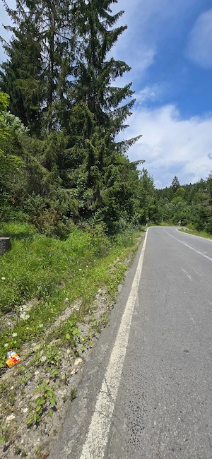 Teren zonă pitorească Sinaia - imagine 7