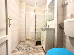 Apartament 1 camera zona Micalaca - imagine 4