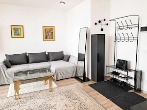 ISHO paralel cu Tache Ionescu de închiriat apartament cu două camere. - imagine 17