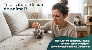 Te-ai saturat de par de animal? 