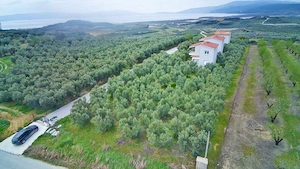 Complex exclusivist cu 3 vile individuale în Paralia Ofriniou Grecia - imagine 6