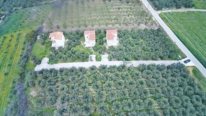 Complex exclusivist cu 3 vile individuale în Paralia Ofriniou Grecia - imagine 7