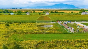 Comision 0% cumpărător / Teren 1,149mp Stupini-Strada Bustenilor - imagine 6