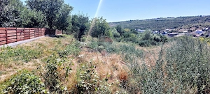 Teren intravilan, 915mp Visani, Strada Eroilor - imagine 4