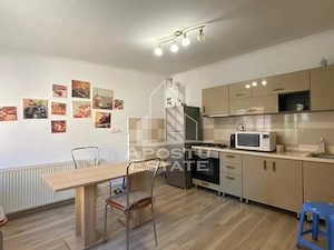 Casa individuala de vanzare P+1 Timisoara Ronat Mircea cel Batran - imagine 2