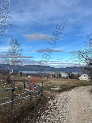 Zarnesti - Bran , 1000 mp intravilan,puz p+4, - imagine 3