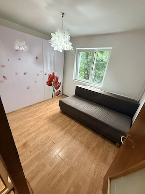 Apartament 3 camere, Humulesti, Rahova (Salaj) - imagine 6