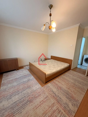 Apartament cu o cameră, Păcurari - imagine 13
