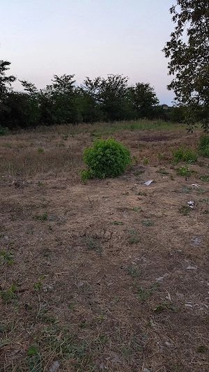 Teren loturi în oraș Giurgiu  - imagine 5