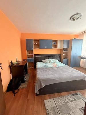 Apartament cu o camera - zona Lipovei - imagine 2