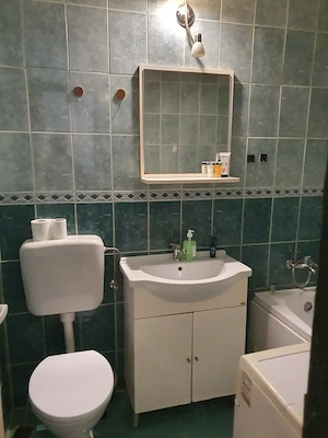 Proprietar, vand garsoniera Z Torontal 80000 euro - imagine 6