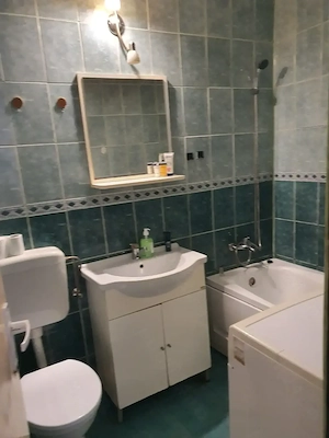 Proprietar, vand garsoniera Z Torontal 80000 euro - imagine 7