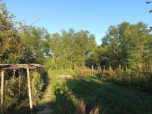 Casa de vânzare în Tg frumos  - imagine 2
