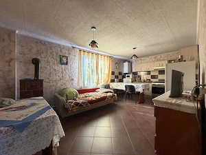 Casa individuala 200 mp utili, 1600 mp teren -Chisoda  - imagine 9