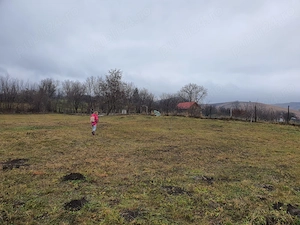 Teren deosebit 11.000 mp + livadă de nuci | Pârscov   Măgura, Buzău | ideal pensiune   glamping - imagine 2
