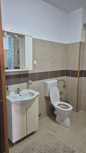 Apartament 2 camere mobilat si utilat, 58 mp , parcare, zona Somesului - imagine 9
