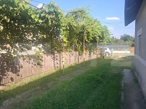 Proprietate cu 2 case, 2.100 mp teren și multiple anexe - imagine 4