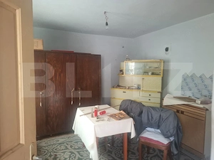 Proprietate cu 2 case, 2.100 mp teren și multiple anexe - imagine 13