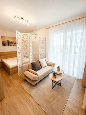 apartament premium decomandat, zona Braytim Timisoara, pe str. Cărăbușului, la etajul 1 - imagine 4