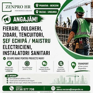 Instalator, Electrician, Sef de echipa Maistru, Tencuitor, Zidar, Dulgher, Fierar