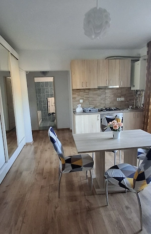 Dau spre închiriere apartament cu o cameră - imagine 4