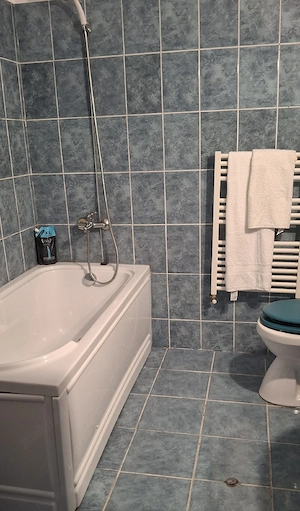 Dau spre închiriere apartament cu o cameră - imagine 5