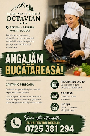 Angajăm Bucătăreasă ( Cel puțin experiență minimă )