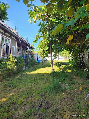 Casa batraneasca+ teren intravilan 1.572 MP   NEGREȘTI, NEAMȚ | 13 KM DE PIATRA NEAMȚ* - imagine 7