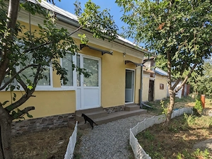 Proprietar vand casa renovata , cu teren 2000 mp ,deschidere de 113 m,in comuna Farcasele,jud.Olt - imagine 1